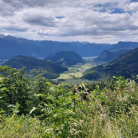 Apartmaji Vesna Bohinj Eksteriør bilde