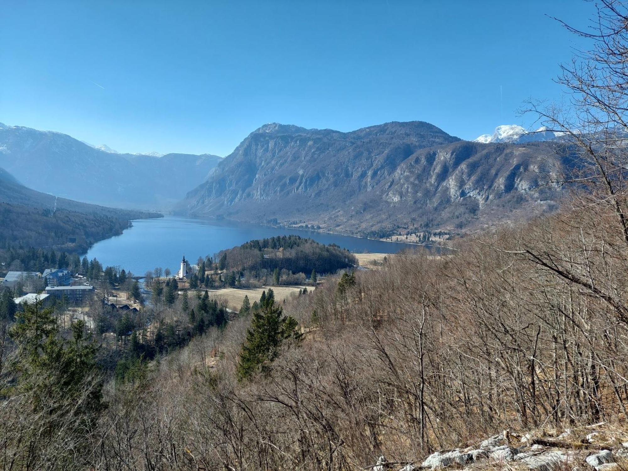 Apartmaji Vesna Bohinj Eksteriør bilde